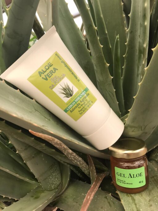 gel di aloe vera
