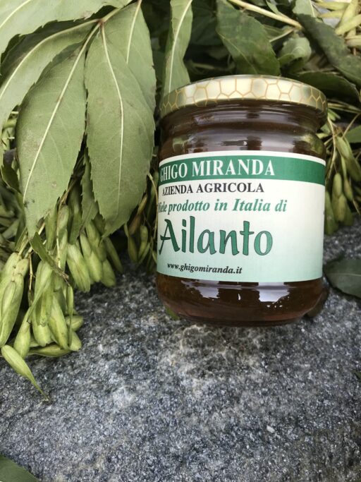 il miele di ailanto (2)