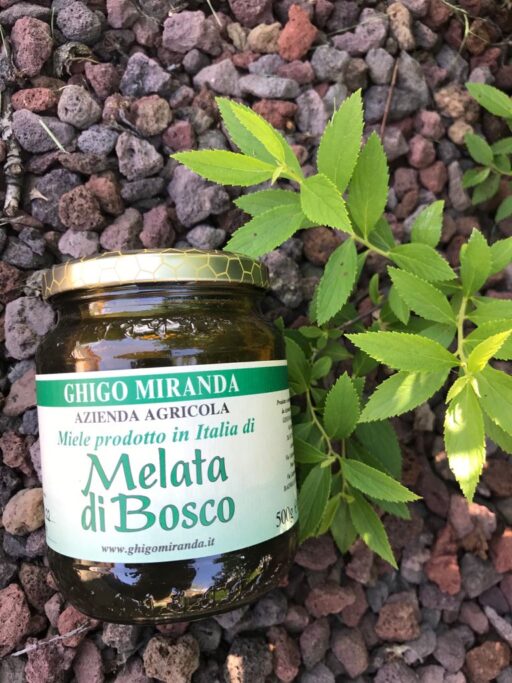 melata di bosco|melata di bosco|melata di bosco