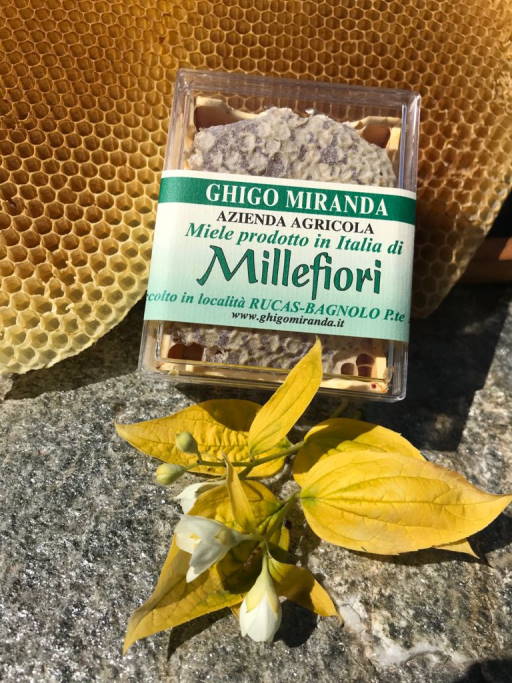 miele in favo di millefiori raccolto a Rucas in alta montagna