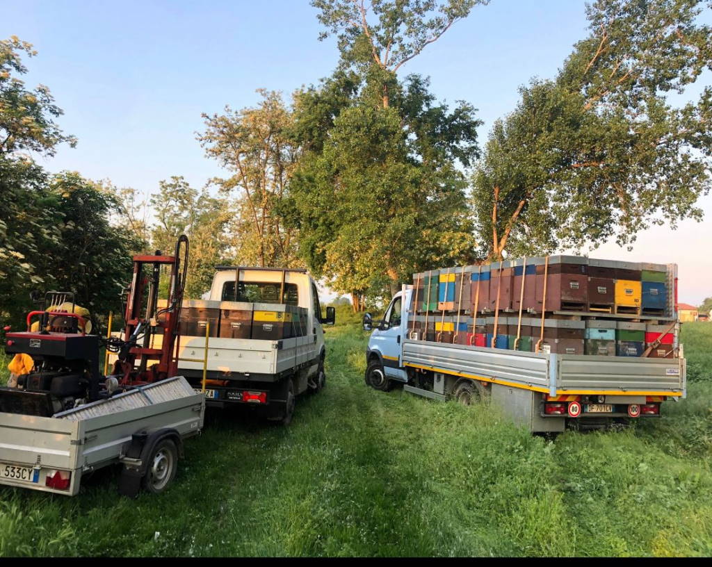 l'azienda agricola e il nomadismo