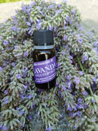 olio essenziale di lavanda