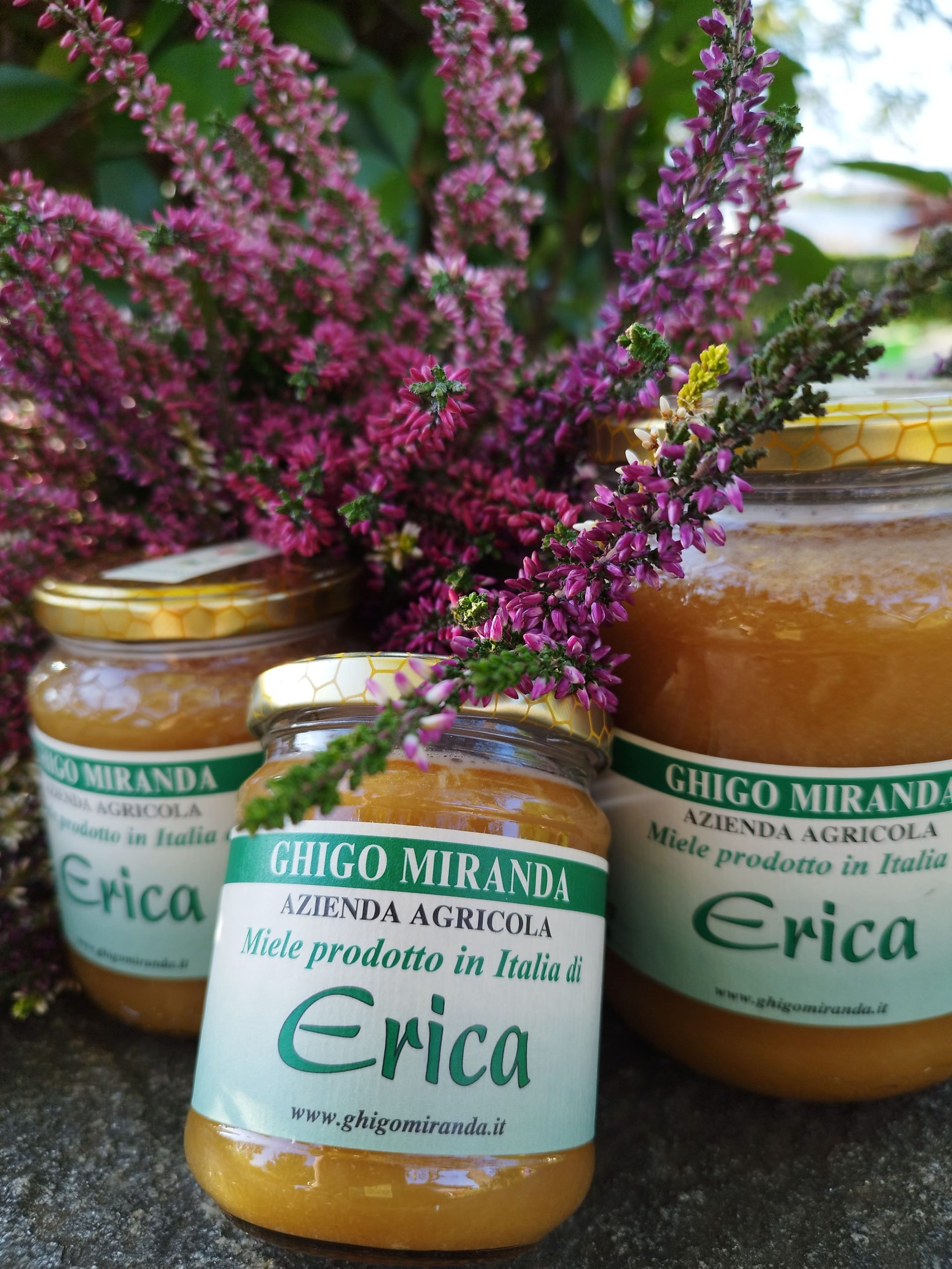 miele di erica